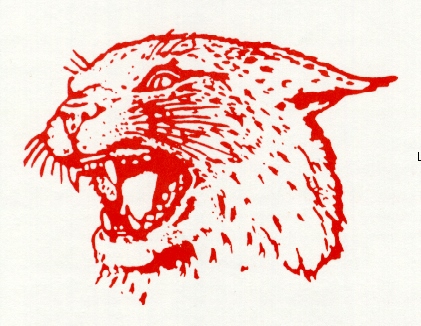Wildcat Wildcat